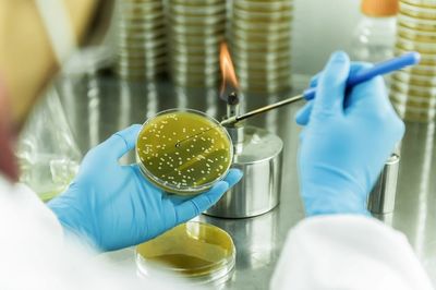 戰(zhàn)新產(chǎn)業(yè)&ldquo;百大工程&rdquo;|招商局集團領(lǐng)航生物基聚酰胺創(chuàng)新突破 打造生物經(jīng)濟新引擎