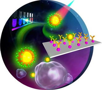 福建物構所稀土上轉換熒光生物標記材料研究取得新進展