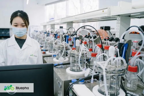 藍晶微生物獲15億元B輪系列融資，元生資本與混改基金領投，加速生物基材料研發